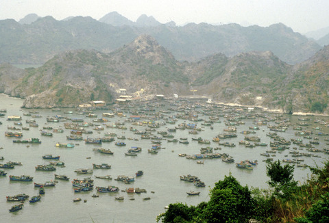 vietnam - cat ba island harbour.jpg